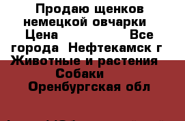 Продаю щенков немецкой овчарки › Цена ­ 5000-6000 - Все города, Нефтекамск г. Животные и растения » Собаки   . Оренбургская обл.